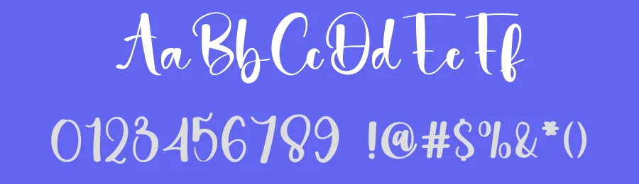 Bethany Radiant Script Font by freshtypeink — Script Handwritten Font — thumbnail 3