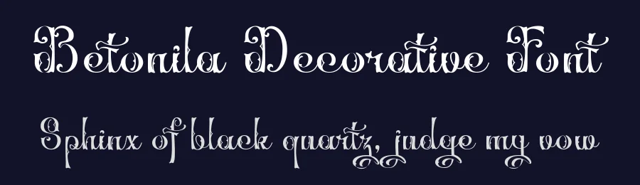 Betonila Decorative Font by TypeClassHeroes — Script Handwritten Font — thumbnail 2