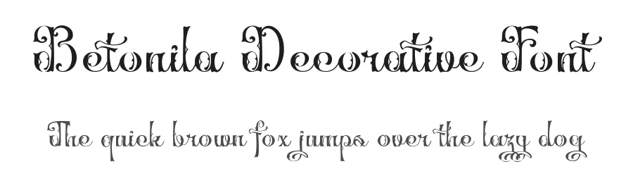 Betonila Decorative Font by TypeClassHeroes — Script Handwritten Font
