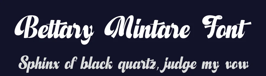 Bettary Mintare Font by timelesstype.co — Serif Font — thumbnail 2