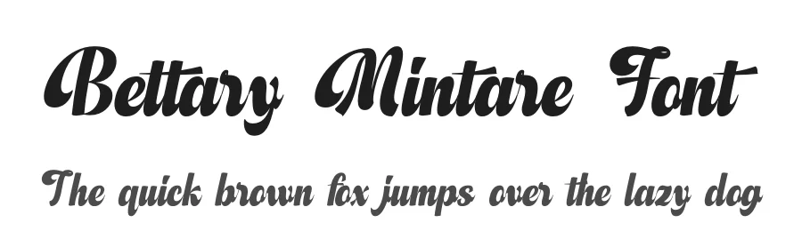 Bettary Mintare Font by timelesstype.co — Serif Font