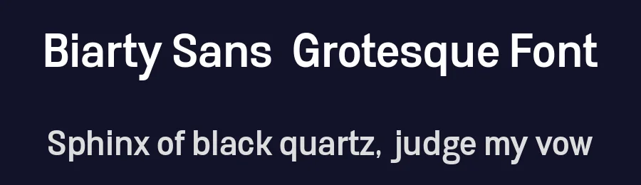 Biarty Sans – Grotesque Font by Nollevs — Decorative Font — thumbnail 2
