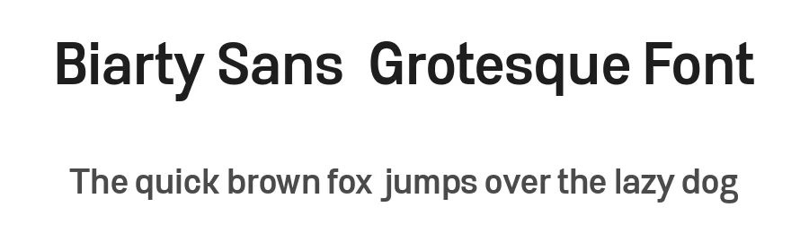 Biarty Sans – Grotesque Font by Nollevs — Decorative Font