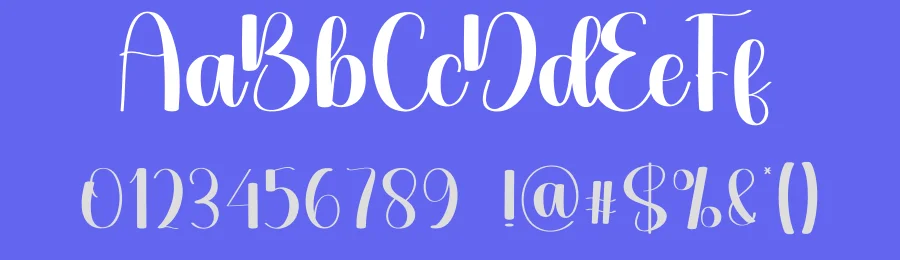 Bicycle Script Font by creativeletter — Script Handwritten Font — thumbnail 3
