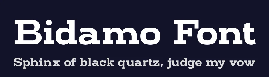 Bidamo Font by Sronstudio — Slab Serif Font — thumbnail 2