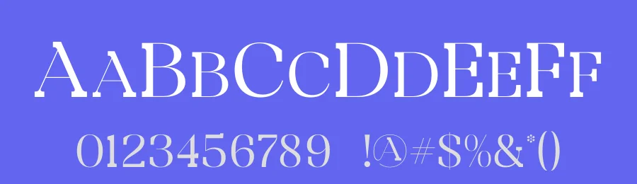 Bidgeto Font by Storytype — Serif Font — thumbnail 3