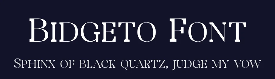 Bidgeto Font by Storytype — Serif Font — thumbnail 2