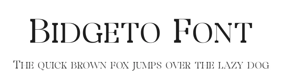Bidgeto Font by Storytype — Serif Font
