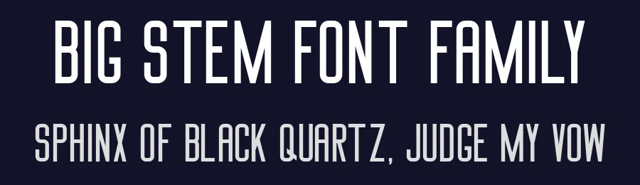 Big Stem Font Family by Boris Garic — Sans Serif Font — thumbnail 2