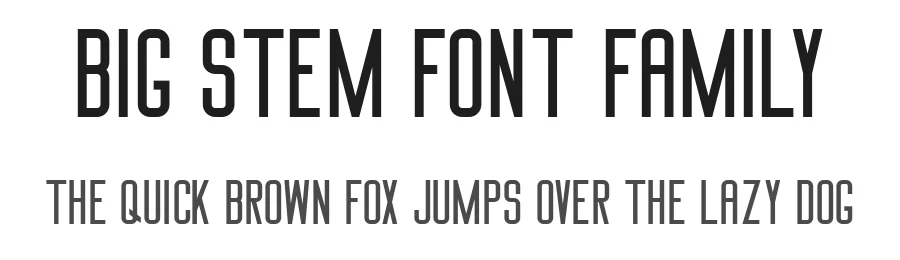 Big Stem Font Family by Boris Garic — Sans Serif Font