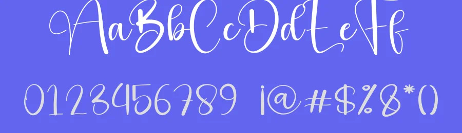 Bigday – Elegant Handwritten Font by andikastudio — Script Handwritten Font — thumbnail 3