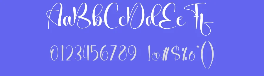 Bigday Script Font by creativeletter — Script Handwritten Font — thumbnail 3