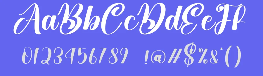 Bigde Script Font by creativeletter — Script Handwritten Font — thumbnail 3