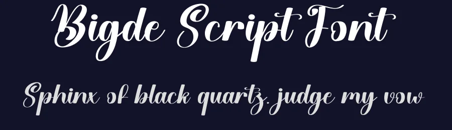 Bigde Script Font by creativeletter — Script Handwritten Font — thumbnail 2