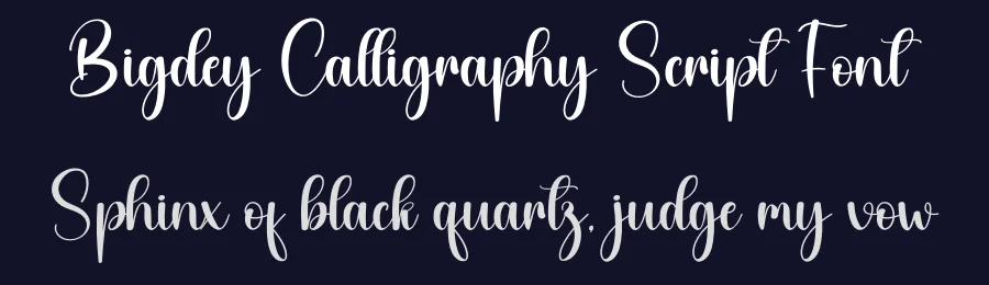 Bigdey Calligraphy Script Font by creativeletter — Script Handwritten Font — thumbnail 2