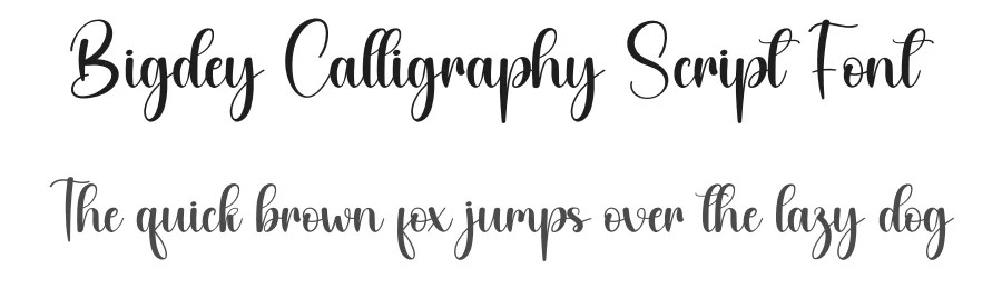 Bigdey Calligraphy Script Font by creativeletter — Script Handwritten Font