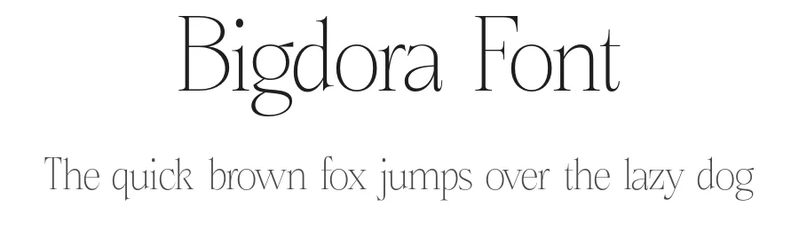 Bigdora Font by Propertype — Serif Font