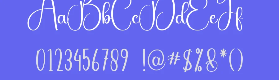 Bighome Calligraphy Font by creativeletter — Script Handwritten Font — thumbnail 3