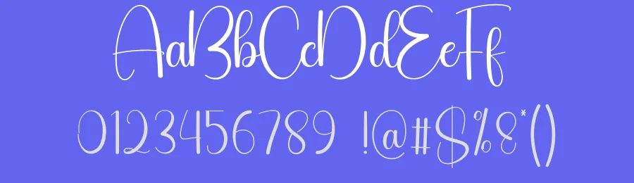 Bighome Handwritten Font by creativeletter — Script Handwritten Font — thumbnail 3