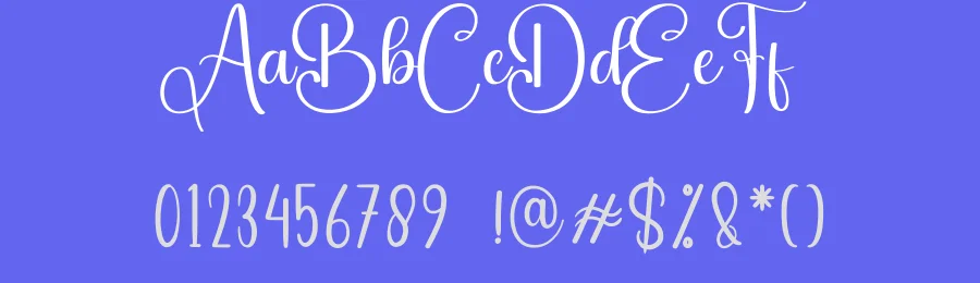 Bighome Script Font by creativeletter — Script Handwritten Font — thumbnail 3