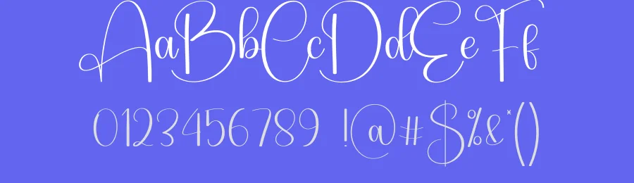 Bighome Script Font by creativeletter — Script Handwritten Font — thumbnail 3