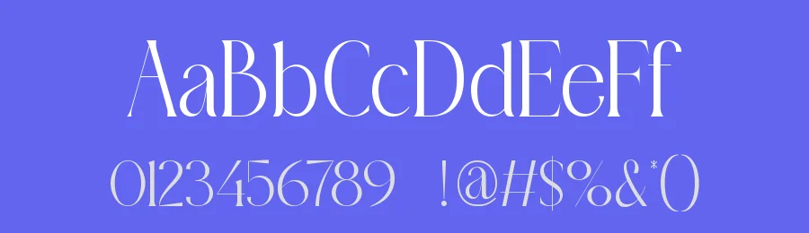 Bigora Font by ErmediaStudio — Serif Font — thumbnail 3