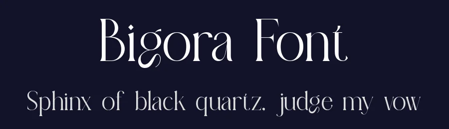 Bigora Font by ErmediaStudio — Serif Font — thumbnail 2
