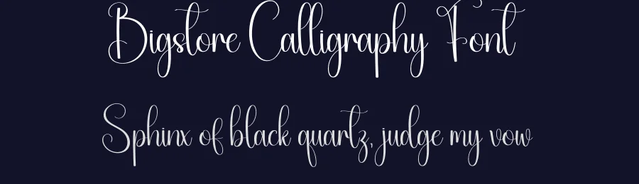Bigstore Calligraphy Font by creativeletter — Script Handwritten Font — thumbnail 2