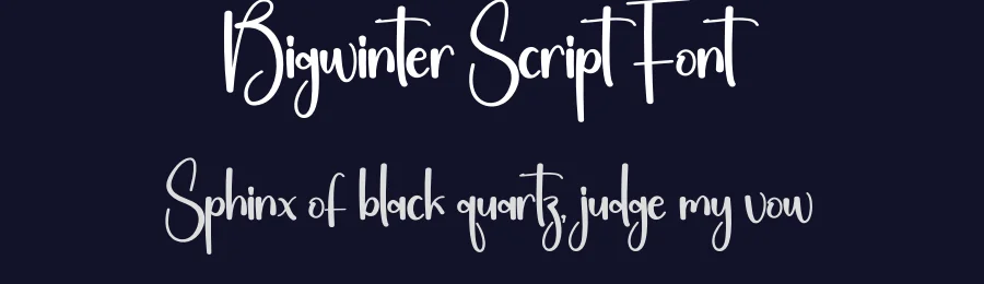Bigwinter Script Font by Kecimpring — Script Handwritten Font — thumbnail 2