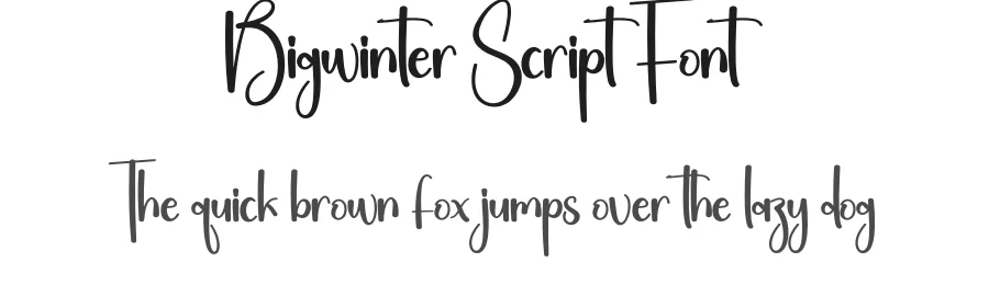 Bigwinter Script Font by Kecimpring — Script Handwritten Font