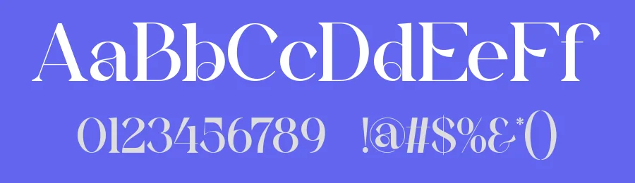 Bikary || Modern Classy Serif Font by ErmediaStudio — Serif Font — thumbnail 3