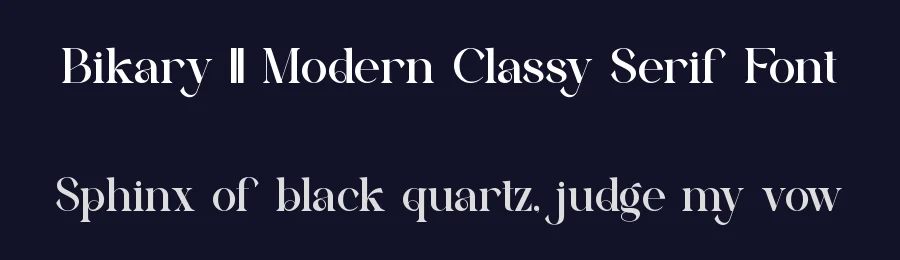 Bikary || Modern Classy Serif Font by ErmediaStudio — Serif Font — thumbnail 2