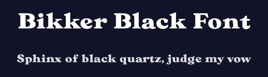 Bikker Black Font by TypeFaith Fonts — Serif Font — thumbnail 2