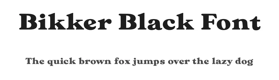 Bikker Black Font by TypeFaith Fonts — Serif Font