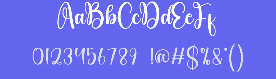 Bilateral Script Font by creativeletter — Script Handwritten Font — thumbnail 3