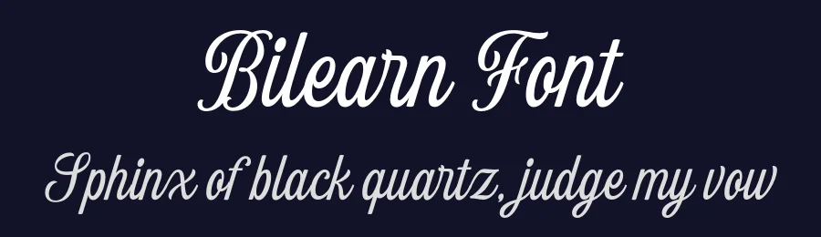 Bilearn Font by Letterhend Studio — Script Handwritten Font — thumbnail 2