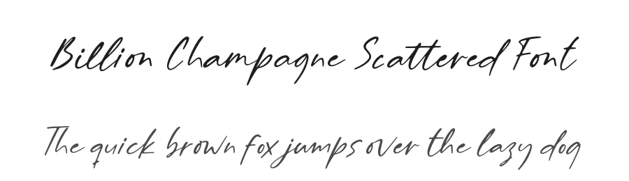Billion Champagne Scattered Font by letterenastudios — Script Handwritten Font