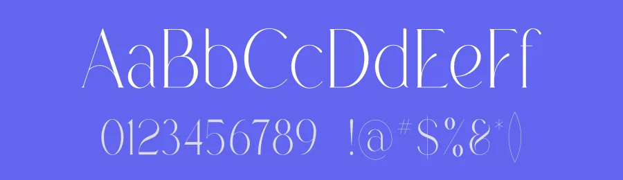 Bilva Font by vpcreativeshop — Serif Font — thumbnail 3