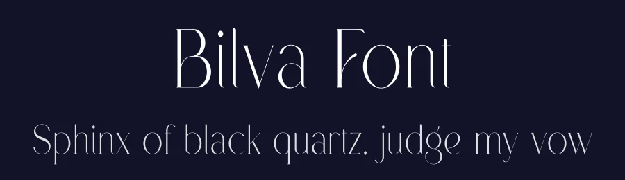 Bilva Font by vpcreativeshop — Serif Font — thumbnail 2