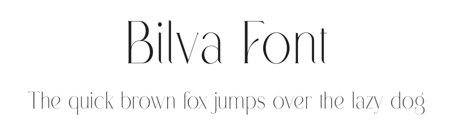 Bilva Font by vpcreativeshop — Serif Font