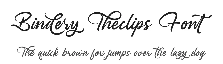 Bindery Theclips Font by letterenastudios — Script Handwritten Font