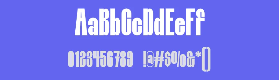 Bindoran Font by MaikoHatta — Display Font — thumbnail 3