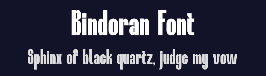 Bindoran Font by MaikoHatta — Display Font — thumbnail 2