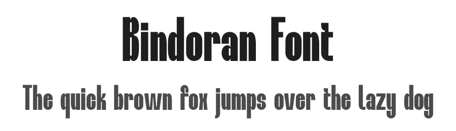 Bindoran Font by MaikoHatta — Display Font