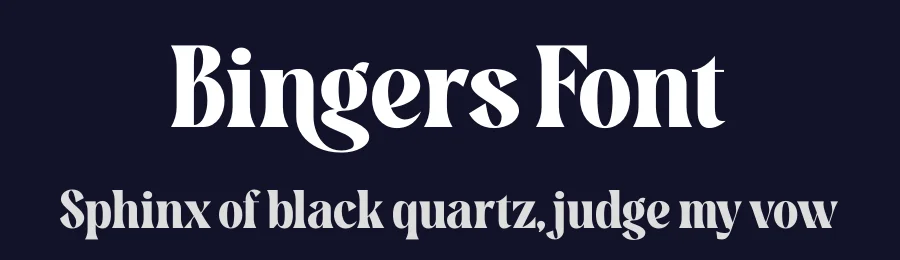 Bingers Font by timelesstype.co — Serif Font — thumbnail 2