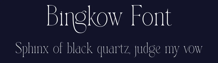 Bingkow Font by SURATMI — Serif Font — thumbnail 2