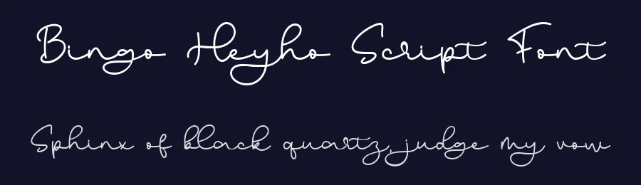 Bingo Heyho Script Font by bearydsgn — Serif Font — thumbnail 2