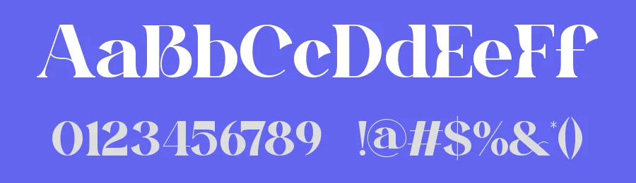 Biooris || Modern Classy Serif Font by ErmediaStudio — Display Font — thumbnail 3