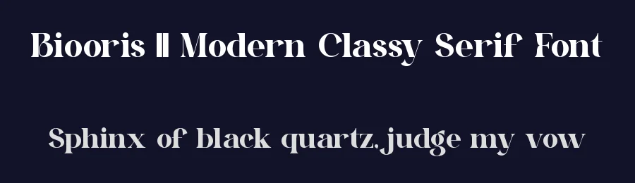 Biooris || Modern Classy Serif Font by ErmediaStudio — Display Font — thumbnail 2