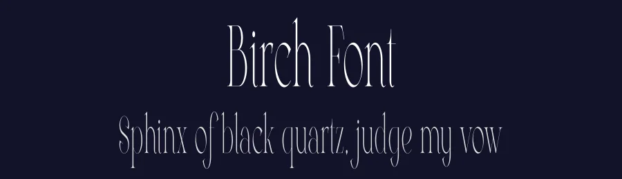 Birch Font by vpcreativeshop — Display Font — thumbnail 2
